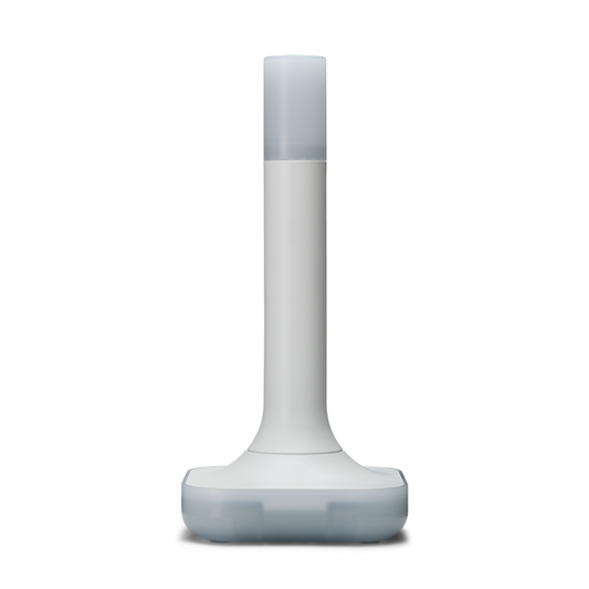 Home Assistant ZBT-2
