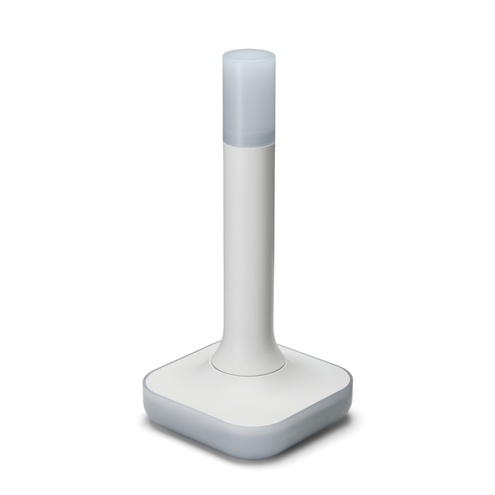 Home Assistant ZBT-2